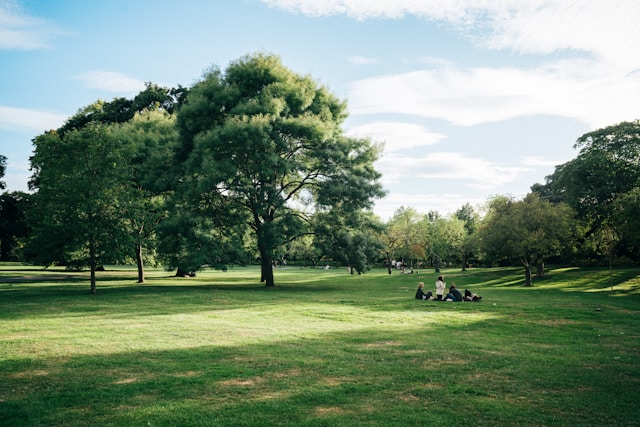 Как отличить настоящий мед от подделки? Капля йода покажет правду